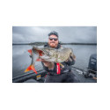 Leurre Armé Fox Rage Ultra Natural Roach Replicant