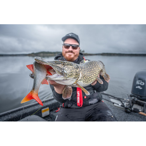 Leurre Armé Fox Rage Ultra Natural Roach Replicant