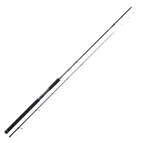 Canne Sunset Salty Kingdom Sw 300-2 (Max 130G)...
