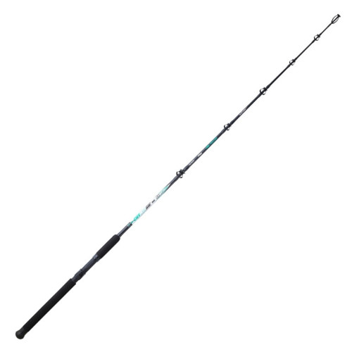 Canne Susnet Cayman Sw 165-1 (30Lbs)