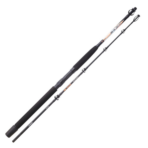Canne Sunset Nassau Sw 165-2 (40Lbs)