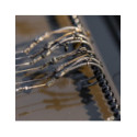 Boîte Avid Carp Reload Xl Bas De Ligne