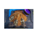 Preston Ics Method Mould
