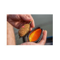 Moule Preston ICS In-Line Banjo XR Mould