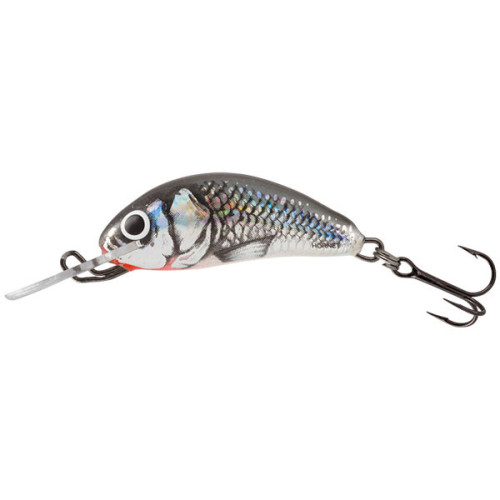 Leurre Coulant Salmo Hornet Sinking 1" 2