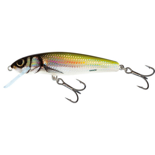 Leurre Flottant Salmo Minnow Floating 5cm 2