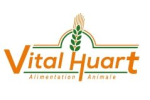 Vital Huart